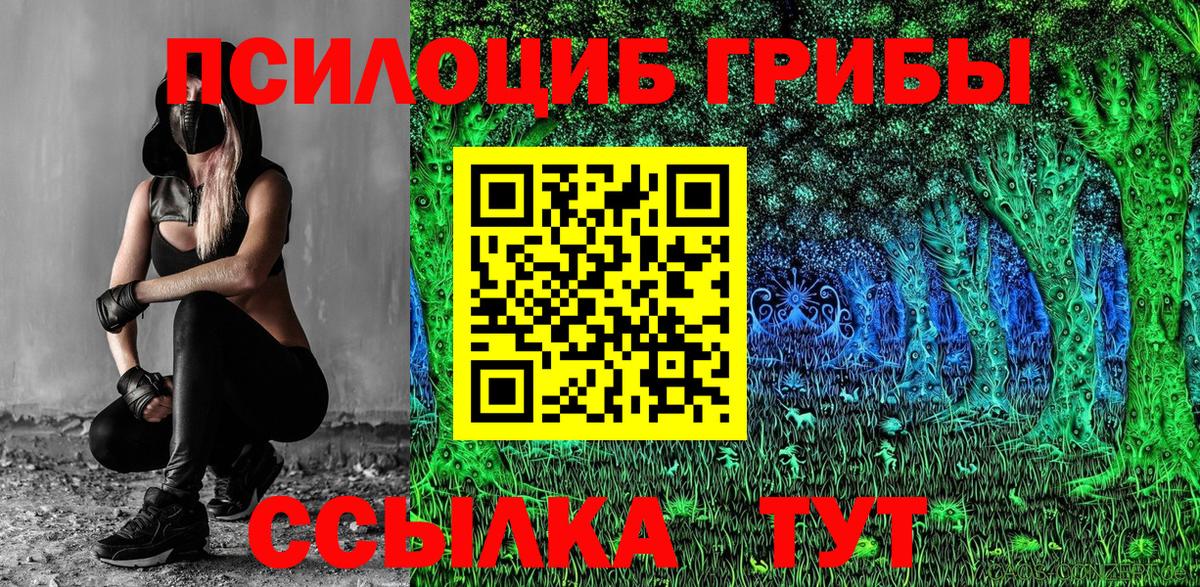 Псилоцибиновые грибы Psilocybe  Псилоцибиновые грибы Cubensis  Вход с VPN  наркотики  Ахтубинск 